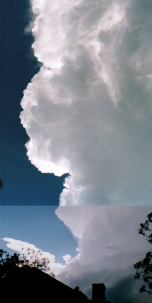 Taken by John Woodbridge