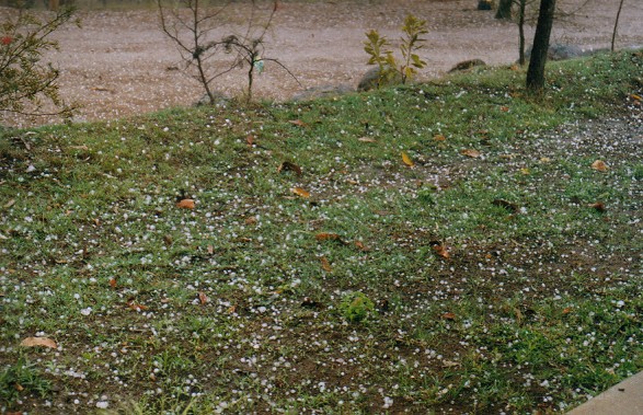 Photo  John Woodbridge