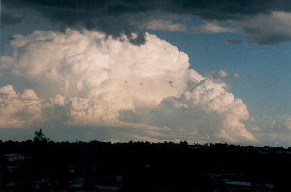 Taken by John Woodbridge