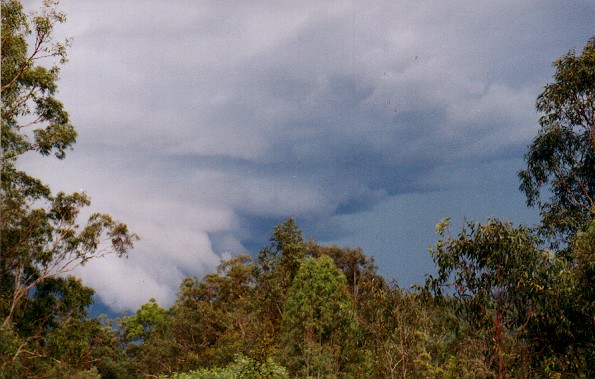 Taken by John Woodbridge