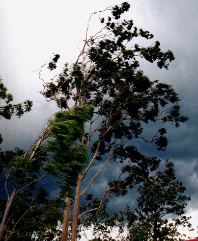 Taken by John Woodbridge