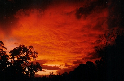 Taken by John Woodbridge