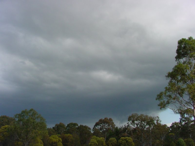 Taken by Jason Rainforest