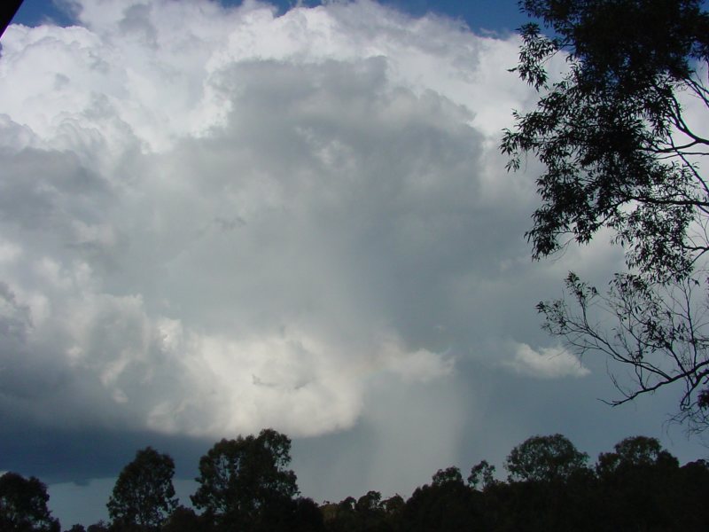 Taken by Jason Rainforest