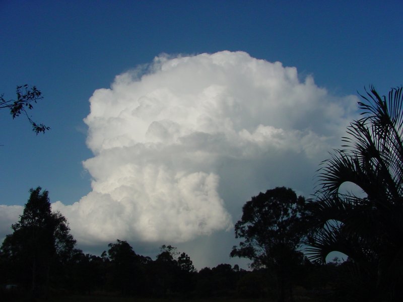 Taken by Jason Rainforest