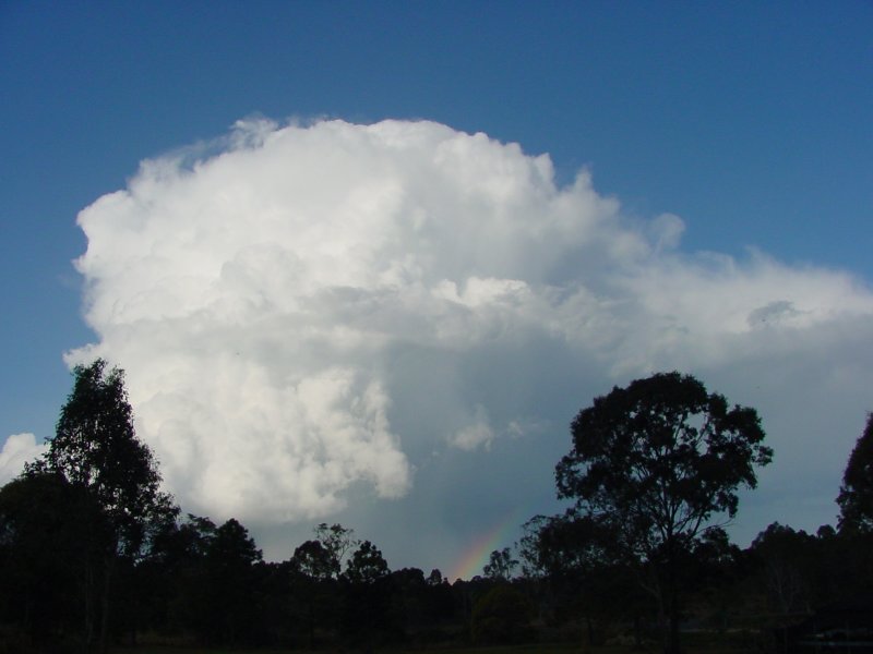 Taken by Jason Rainforest