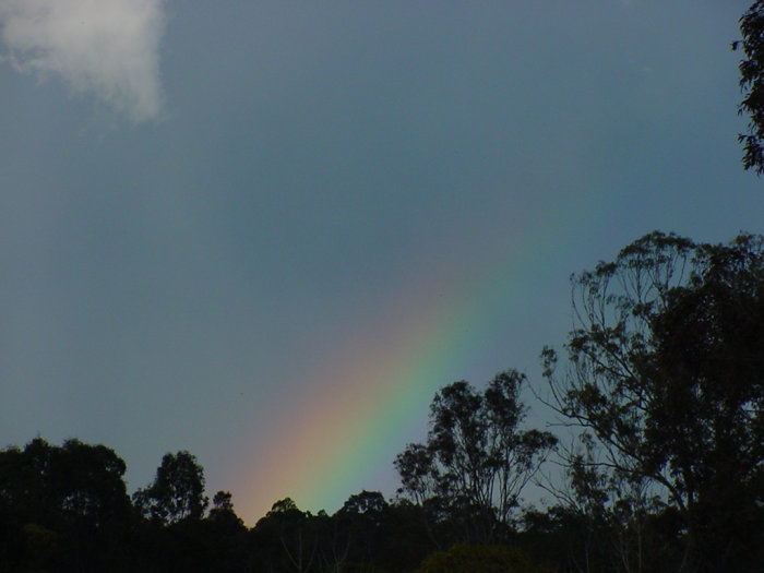 Taken by Jason Rainforest