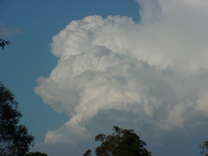 Taken by Jason Rainforest