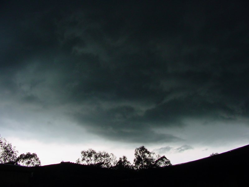 Taken by Jason Rainforest