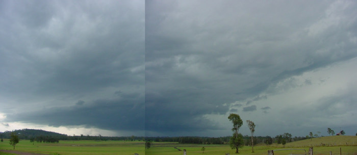 Taken by Jason Rainforest