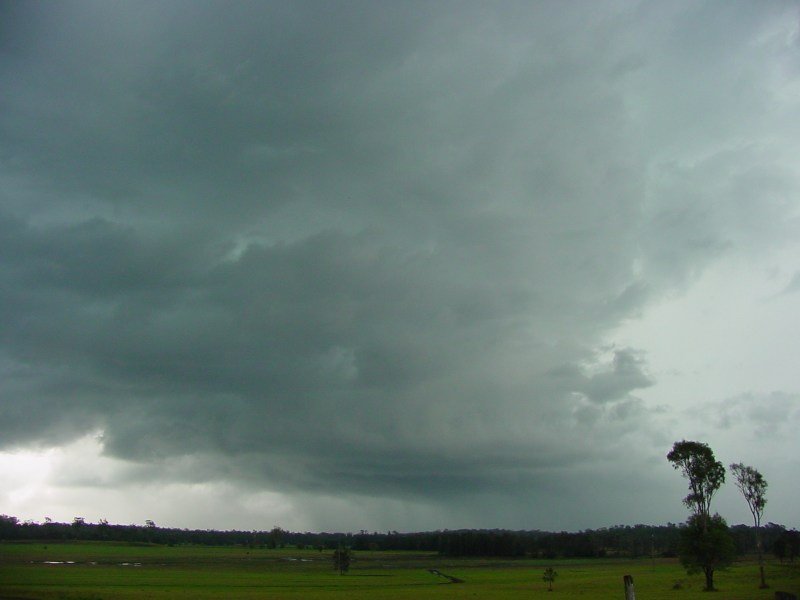 Taken by Jason Rainforest