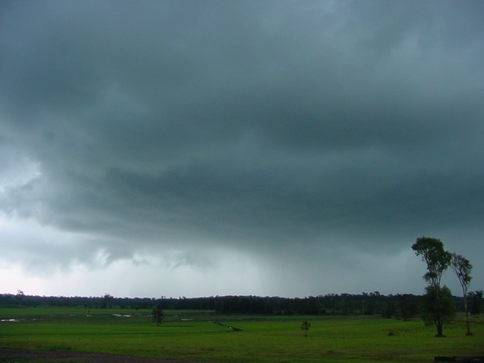 Taken by Jason Rainforest