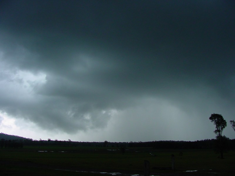 Taken by Jason Rainforest