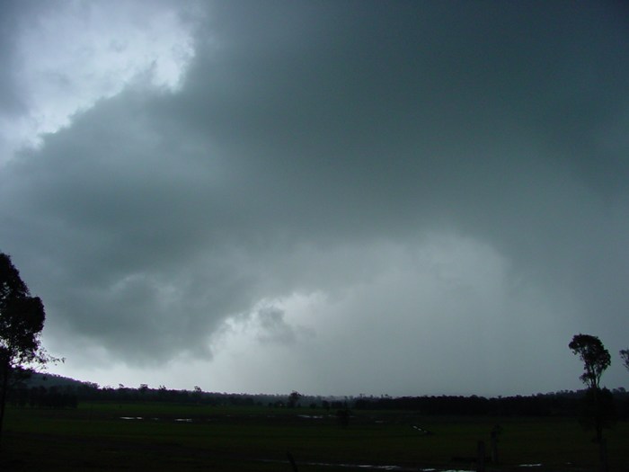 Taken by Jason Rainforest