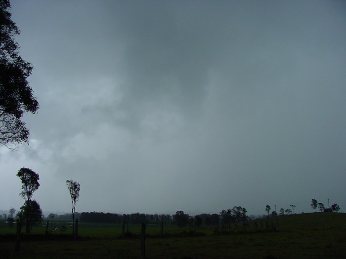 Taken by Jason Rainforest