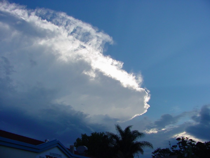 Taken by Jason Rainforest