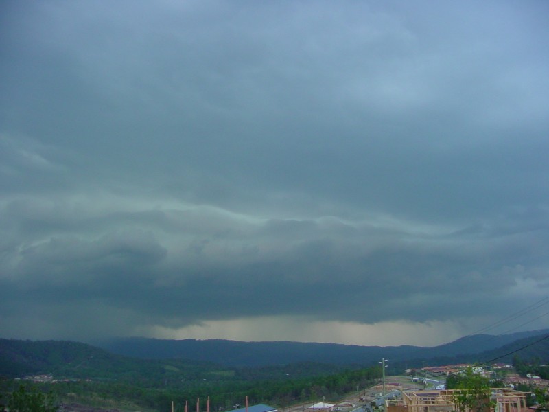 Taken by Jason Rainforest