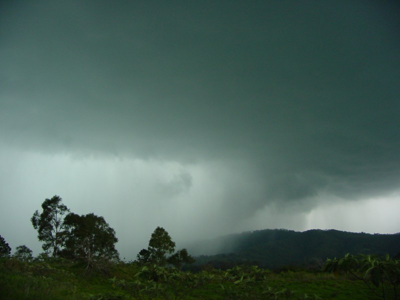 Taken by Jason Rainforest