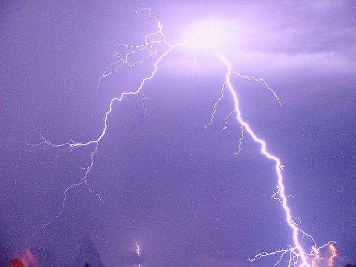 Taken by Jason Rainforest