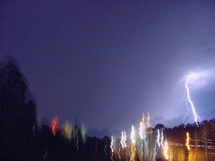 Taken by Jason Rainforest