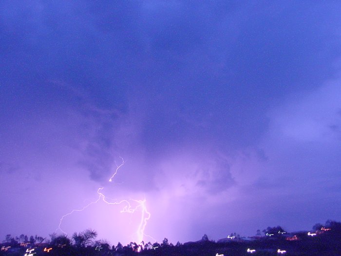 Taken by Jason Rainforest