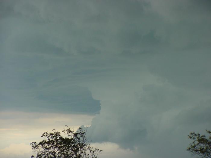 Taken by Jason Rainforest