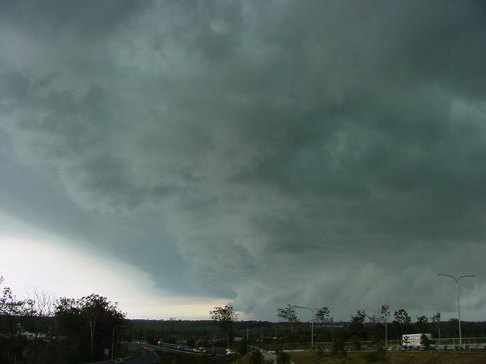 Taken by Jason Rainforest