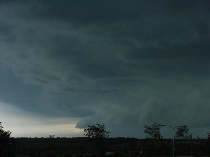 Taken by Jason Rainforest