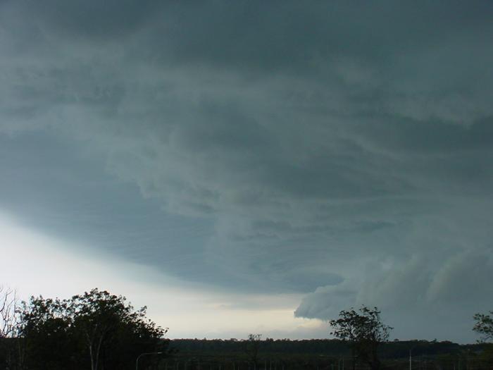 Taken by Jason Rainforest