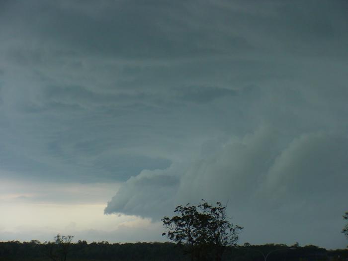 Taken by Jason Rainforest