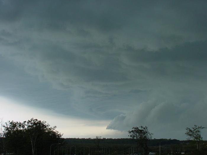 Taken by Jason Rainforest