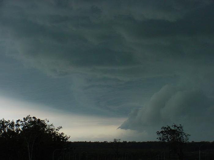 Taken by Jason Rainforest