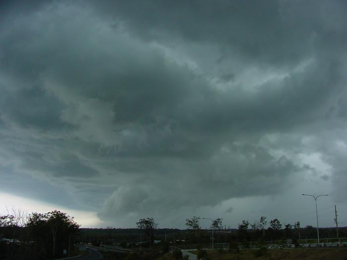 Taken by Jason Rainforest