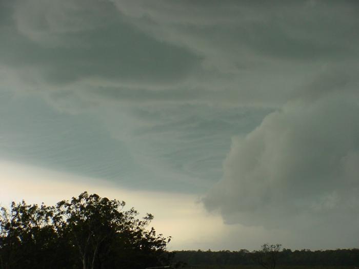 Taken by Jason Rainforest