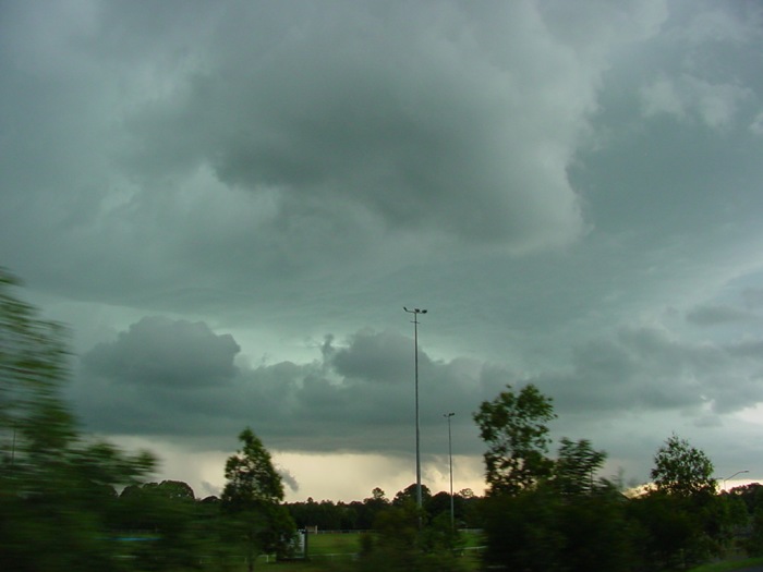 Taken by Jason Rainforest