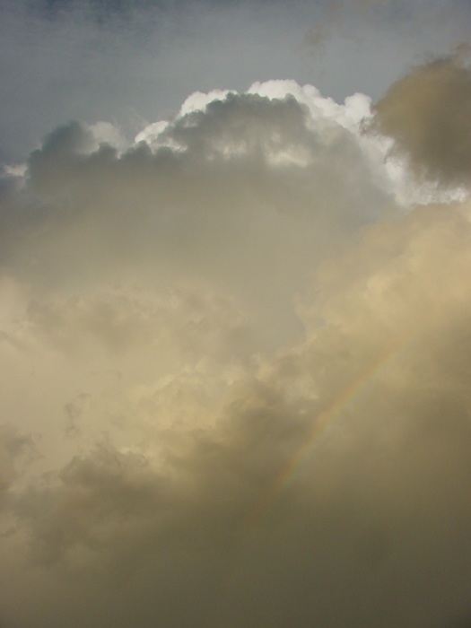 Taken by Jason Rainforest