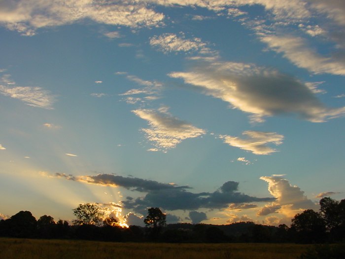 Taken by Jason Rainforest