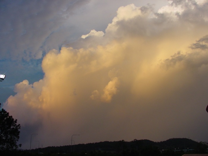 Taken by Jason Rainforest