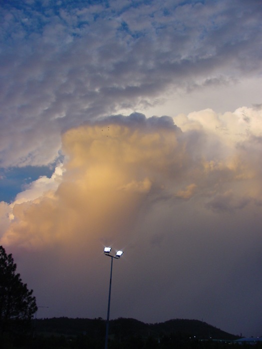 Taken by Jason Rainforest