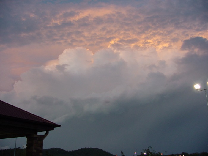 Taken by Jason Rainforest