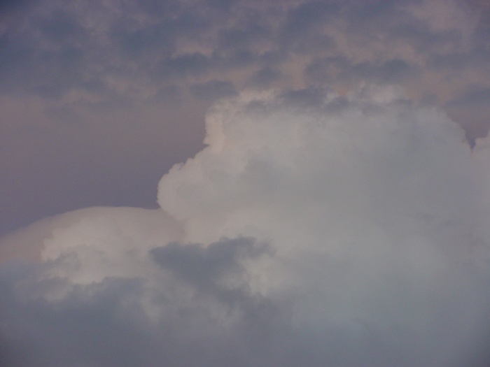 Taken by Jason Rainforest