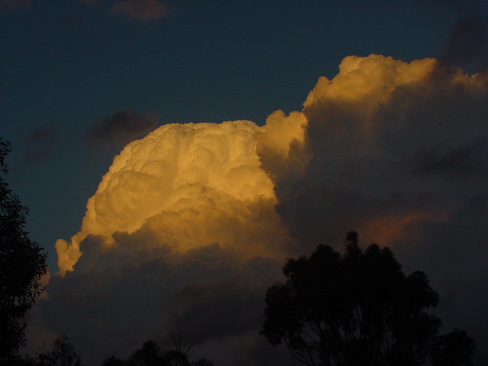 Photo  Jason Rainforest