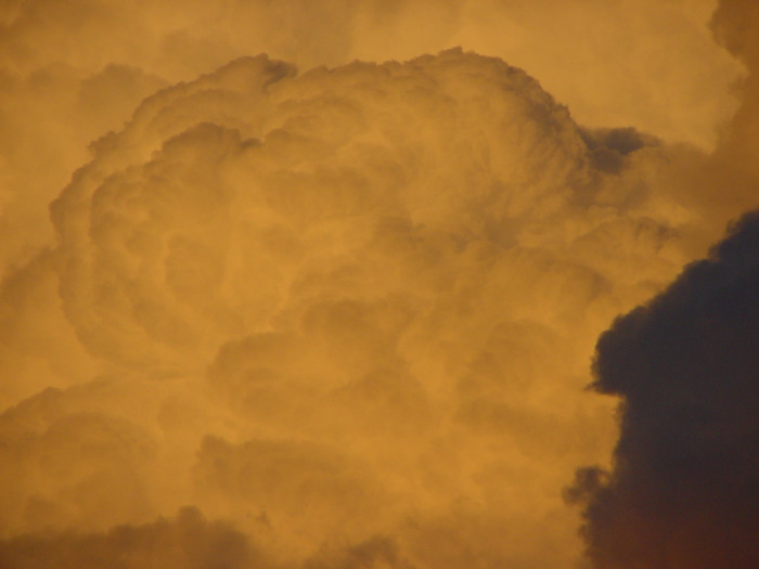 Photo  Jason Rainforest