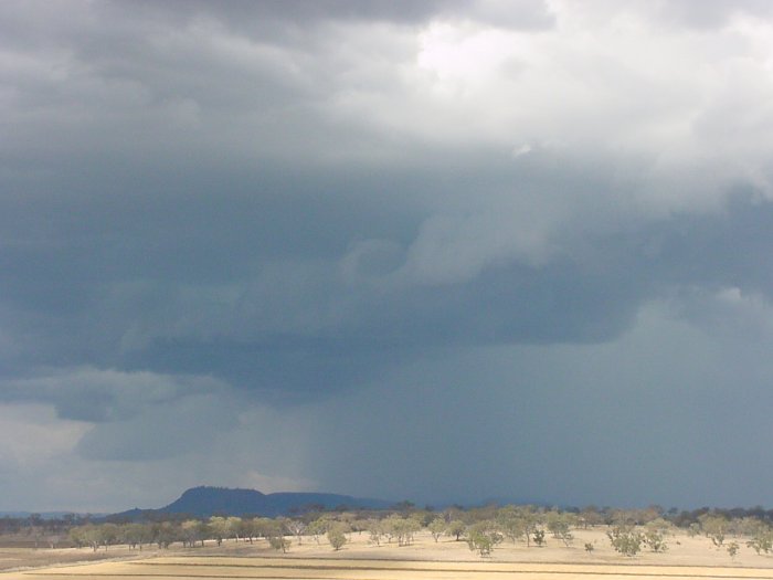 Taken by Jason Rainforest