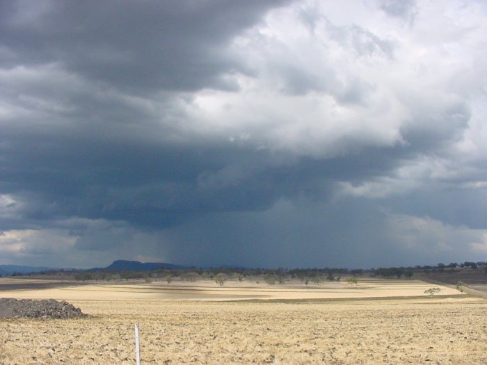 Taken by Jason Rainforest