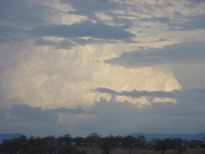 Photo  Jason Rainforest