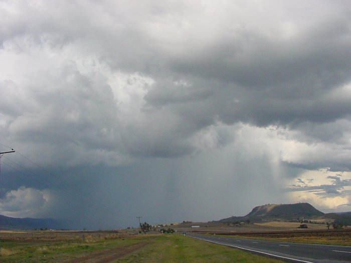 Photo  Jason Rainforest