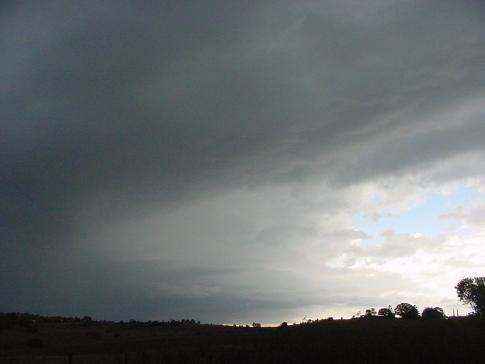 Photo  Jason Rainforest