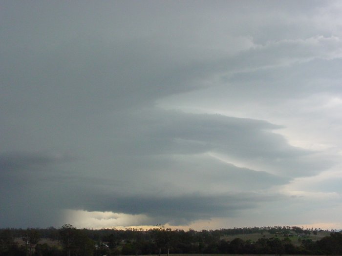 Photo  Jason Rainforest