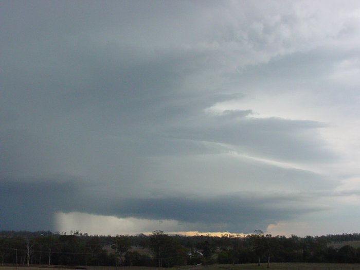 Photo  Jason Rainforest